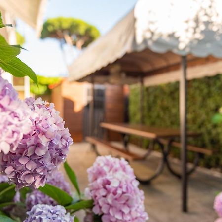 Apartment Holiday Versilia كامايوري المظهر الخارجي الصورة