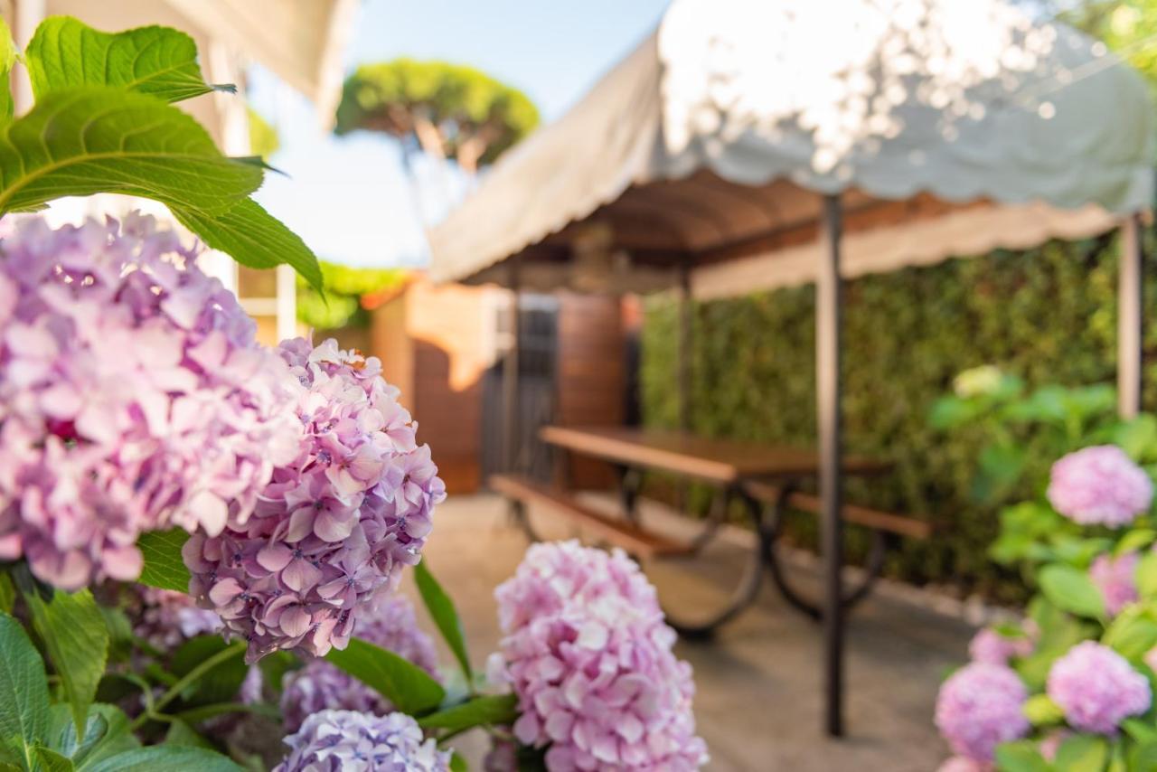 Apartment Holiday Versilia كامايوري المظهر الخارجي الصورة